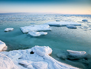 Картинки по запросу арктика льды фото